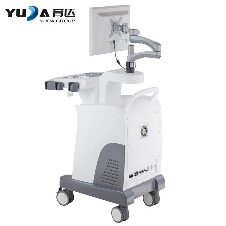 Medical Black And White 4D Ultrasound