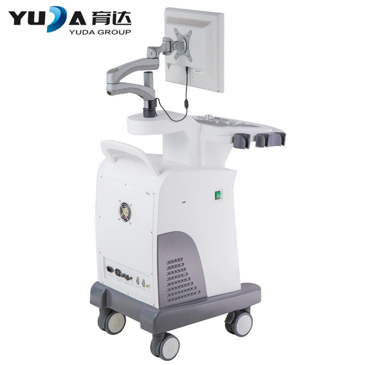 Medical Black And White 4D Ultrasound